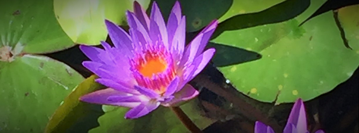 HD PUBLISHING, RESEARCH, AND EDITORIAL SERVICES